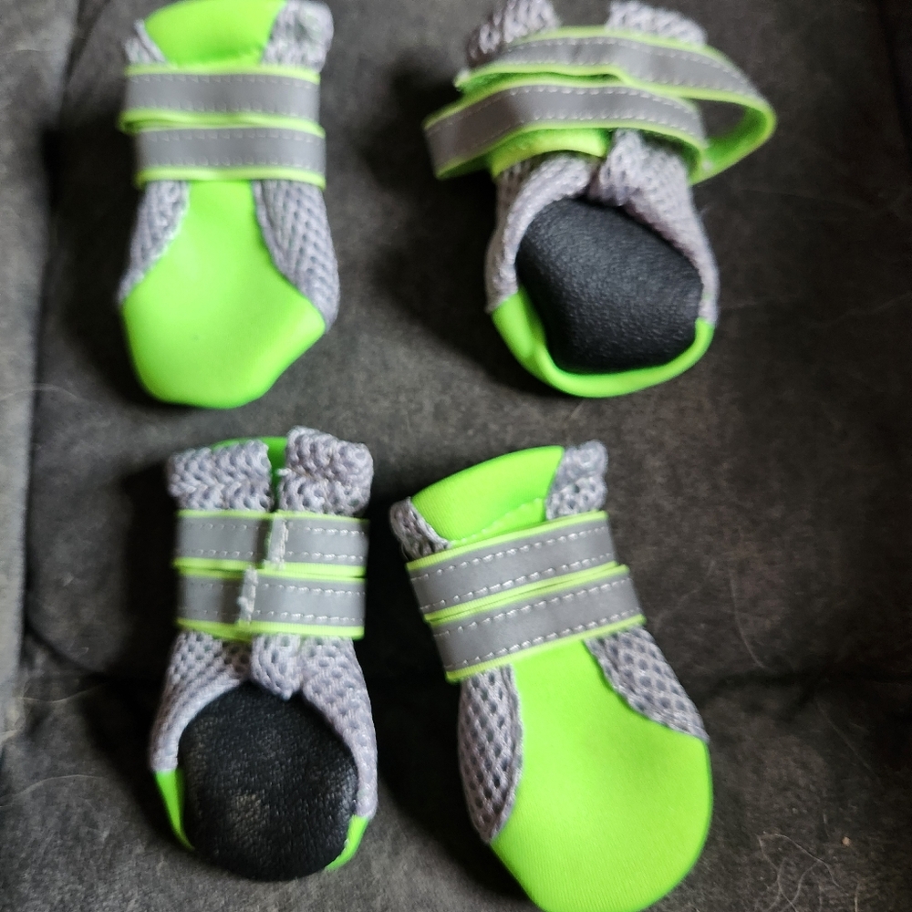 Dog booties Bright Yellow L